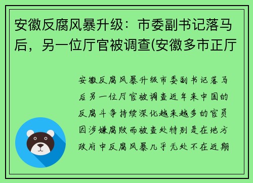 安徽反腐风暴升级：市委副书记落马后，另一位厅官被调查(安徽多市正厅领导调整)