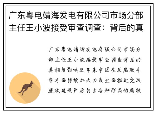 广东粤电靖海发电有限公司市场分部主任王小波接受审查调查：背后的真相与影响