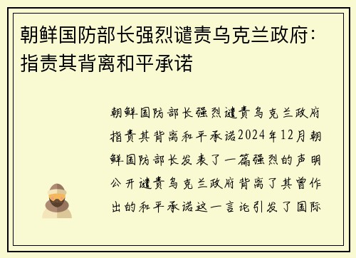 朝鲜国防部长强烈谴责乌克兰政府：指责其背离和平承诺