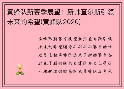 黄蜂队新赛季展望：新帅查尔斯引领未来的希望(黄蜂队2020)