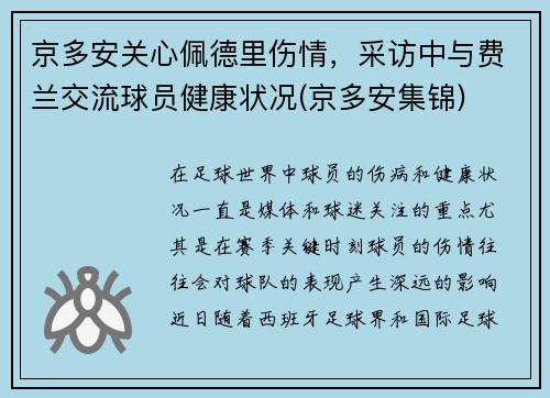 京多安关心佩德里伤情，采访中与费兰交流球员健康状况(京多安集锦)